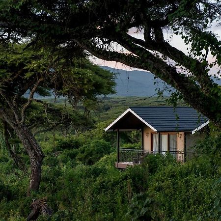 Lions Paw Ngorongoro Hotell Exteriör bild