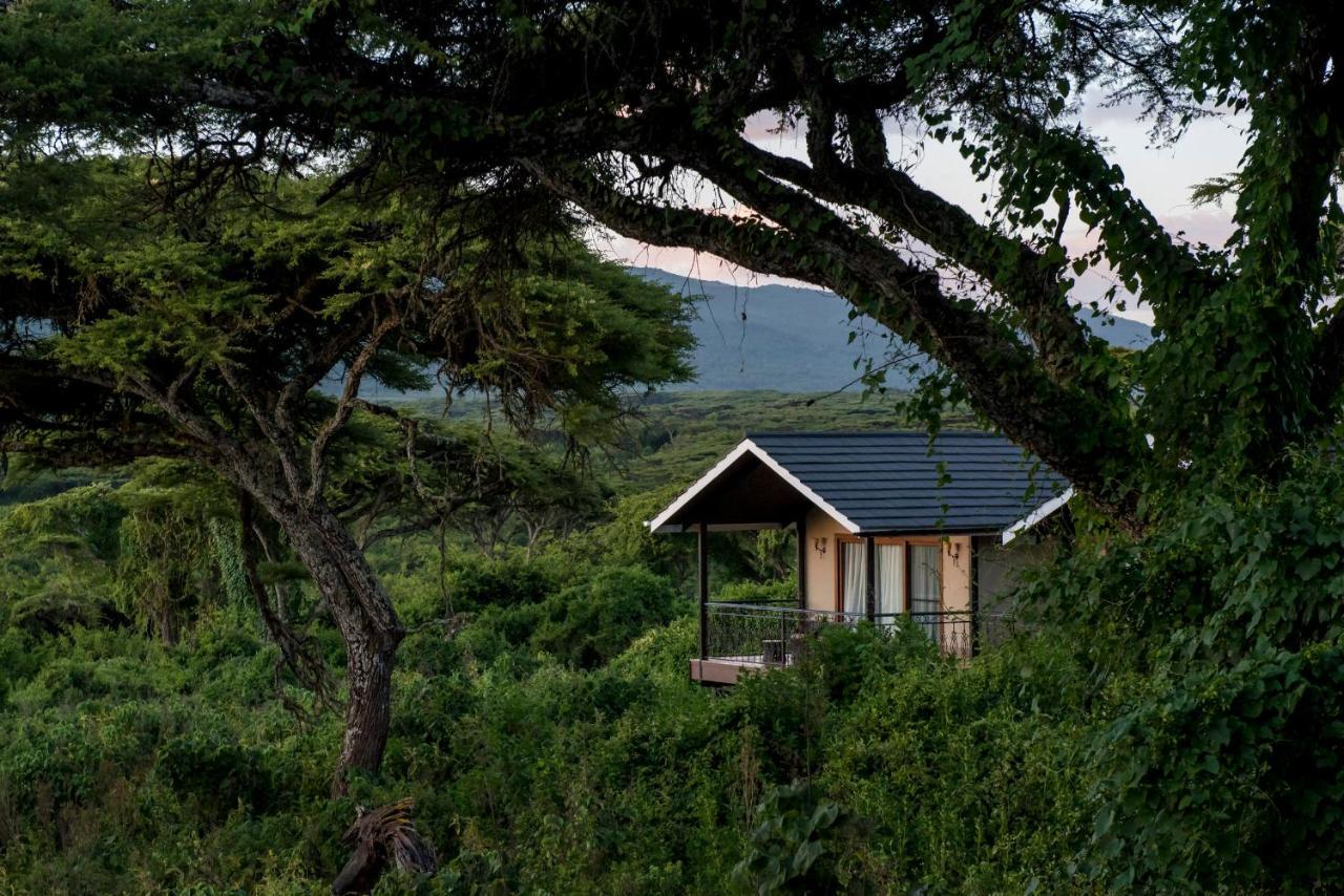 Lions Paw Ngorongoro Hotell Exteriör bild