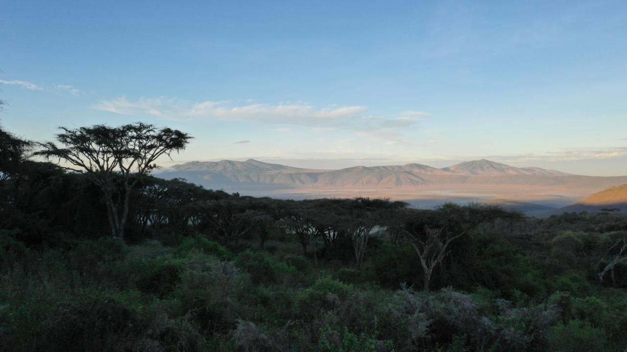 Lions Paw Ngorongoro Hotell Exteriör bild