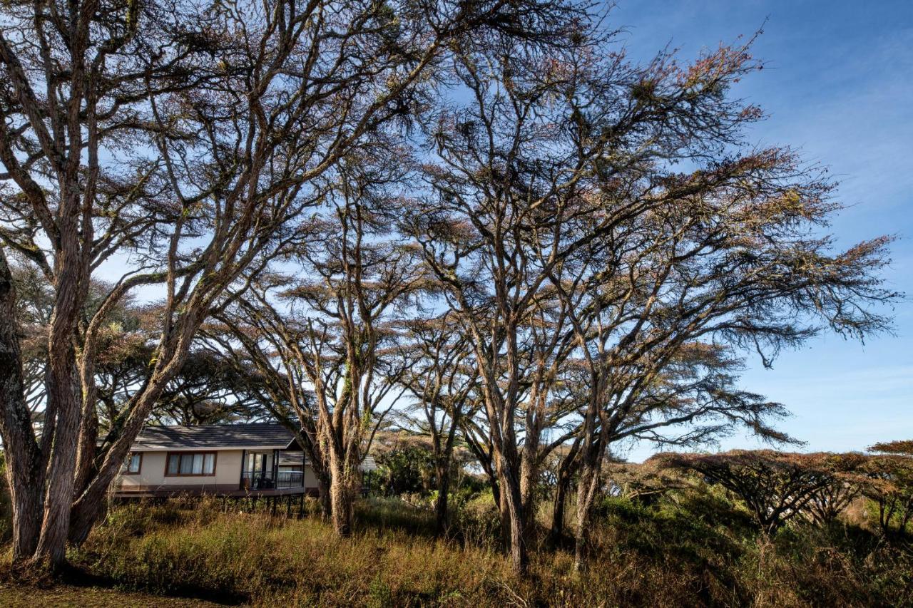 Lions Paw Ngorongoro Hotell Exteriör bild