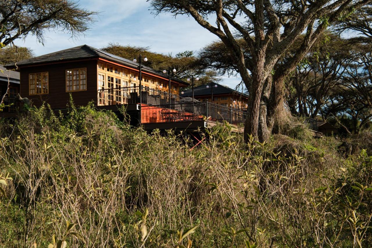 Lions Paw Ngorongoro Hotell Exteriör bild