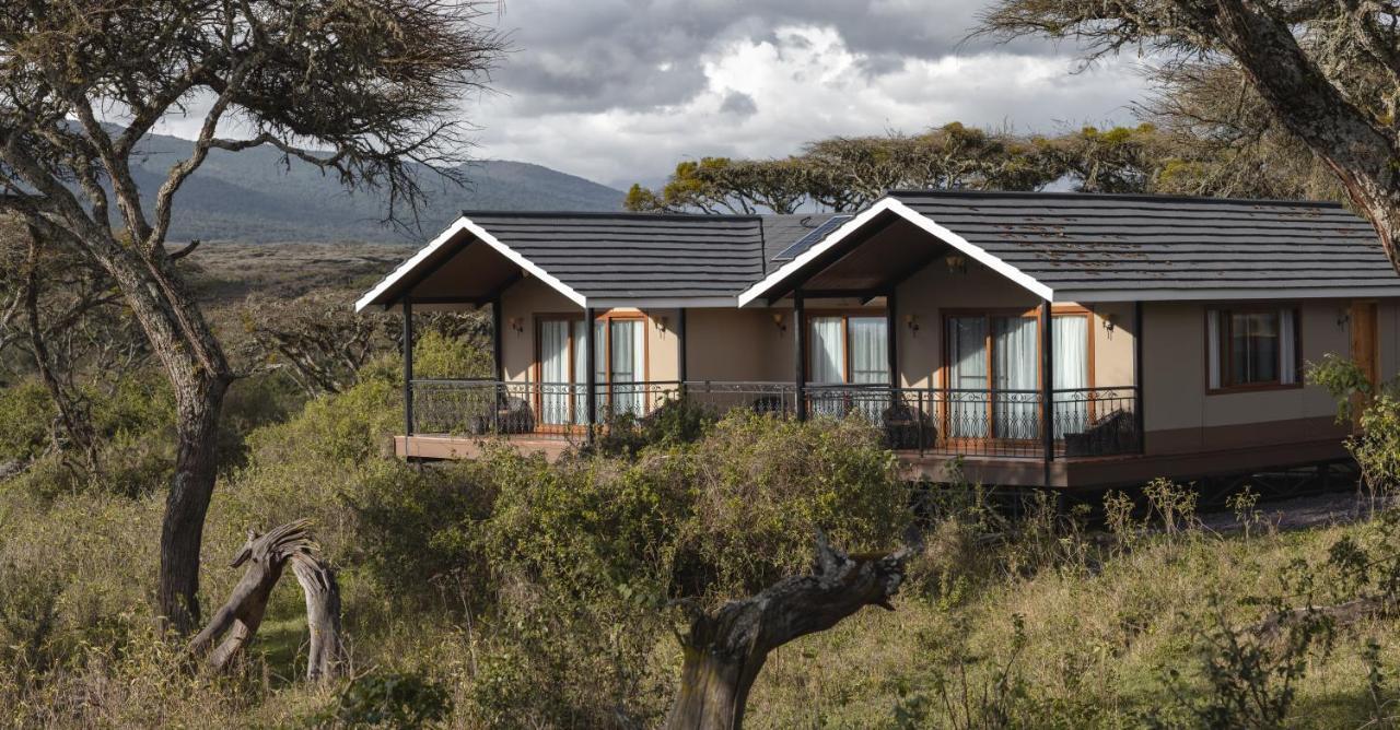 Lions Paw Ngorongoro Hotell Exteriör bild