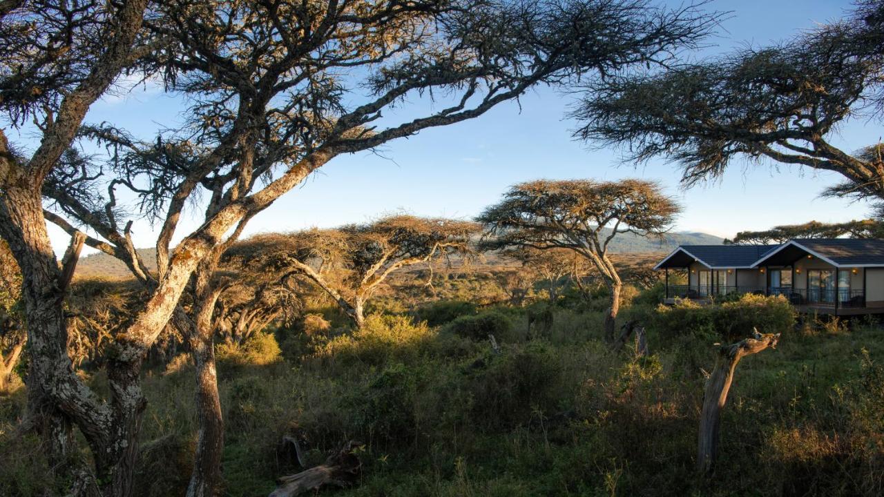 Lions Paw Ngorongoro Hotell Exteriör bild